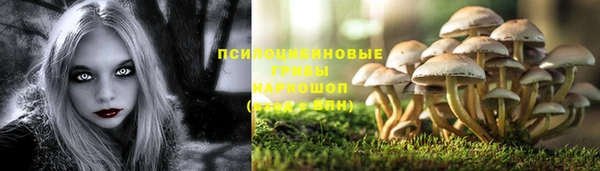 героин Алзамай