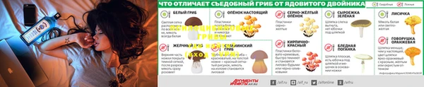 гидропоника Алексеевка