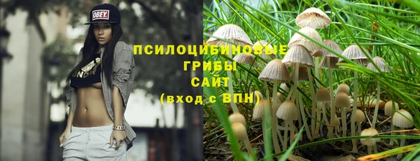 героин Алзамай