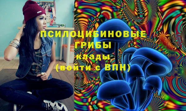 гидропоника Алексеевка